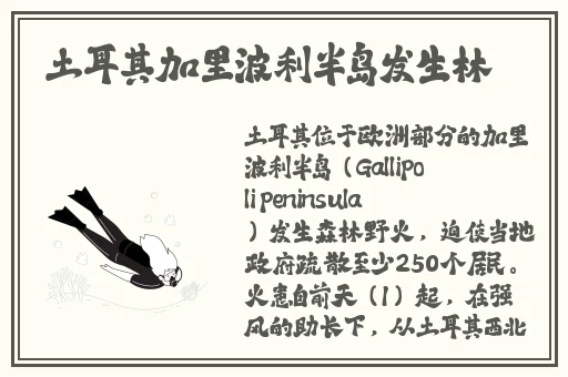 羞羞视频网站在线观看18岁无遮挡